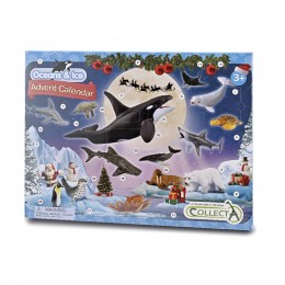 OCEANS ADVENT CALENDAR...