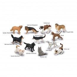 TUBO COLLECTA DE MINI... 2