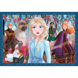 4-IN-1 PROGRESSIVE PUZZLE:... 2
