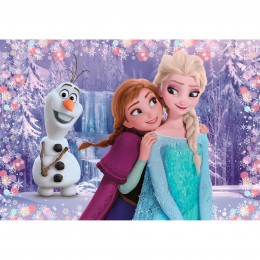 PUZZLE 2X20 FROZEN 24825... 2