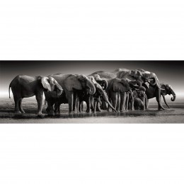 1,000-PIECE PUZZLE: HERD OF... 2
