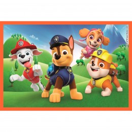 CUBOS 6 PATRULLA CANINA... 2