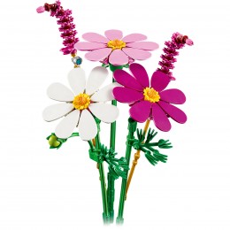 LEGO BOTANICALS COSMOS... 2