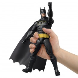 30 CM DC UNIVERSE ASSORTED... 2