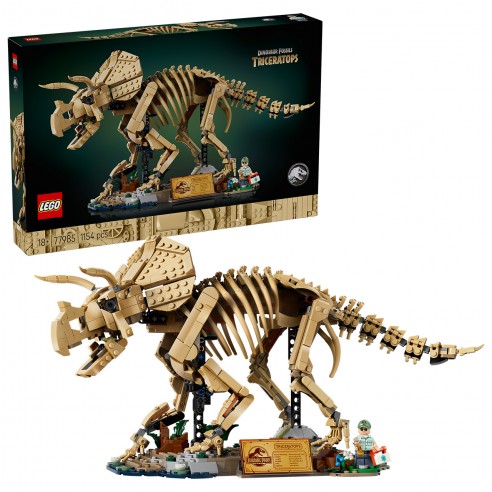 DINOSAUR FOSSILS: TRICERATOPS 77985...