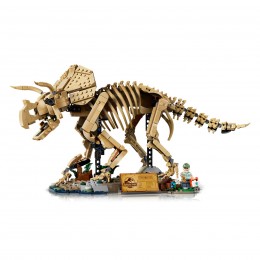 DINOSAUR FOSSILS:... 2