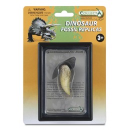 TYRANNOSAURUS REX TOOTH...