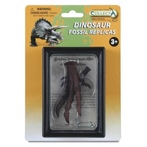 RÉPLICA DEL PIE DE TYRANNOSAURUS REX...