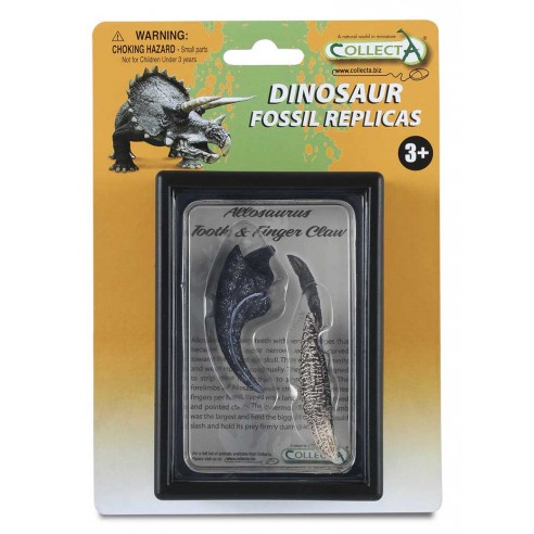 REPLICA OF AN ALLOSAURUS TOOTH AND...