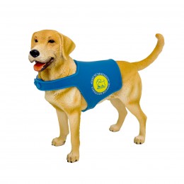 CINNAMON LABRADOR RETRIEVER...