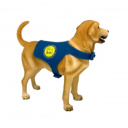 CINNAMON LABRADOR RETRIEVER... 2