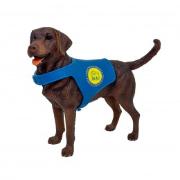 CHOCOLATE LABRADOR...