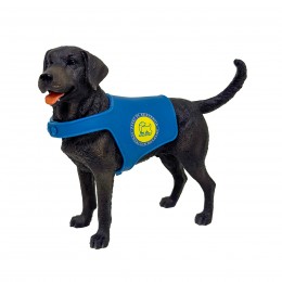 BLACK LABRADOR RETRIEVER...