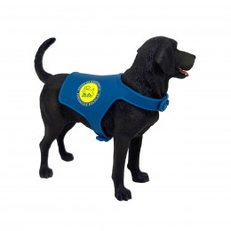 BLACK LABRADOR RETRIEVER... 2