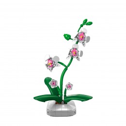 ORCHID 237 PCS C59028W EACH 2