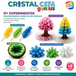 CRISTALCEFA GENIUS 20003 CEFA 2