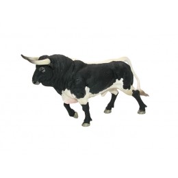 BULL BRAVO MATED AND TROTTING