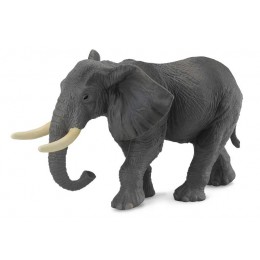 AFRICAN ELEPHANT  -...