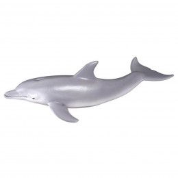 BOTTLENOSE DOLPHIN