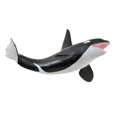 ORCA -XL- 88043 COLLECTA