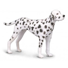 DALMATIAN