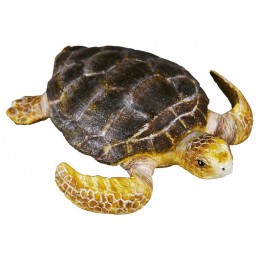 TORTUGA BOBA - M - 88094 -...
