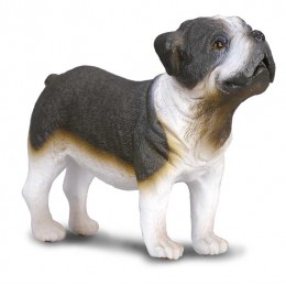 BULL DOG