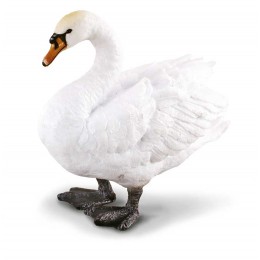 MUTE SWAN