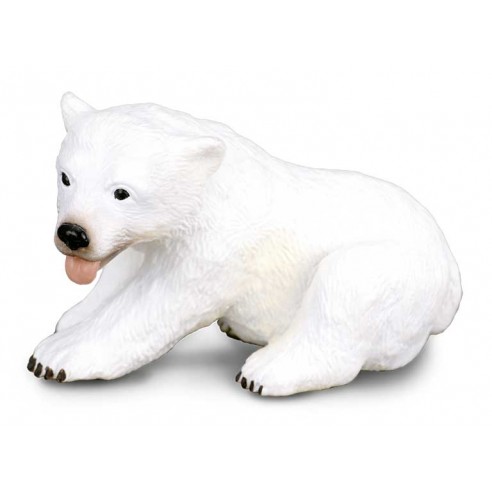 POLAR BEAR CUB SITTING