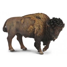 AMERICAN BISON -  REPLACED...