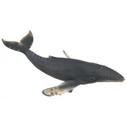 HUMPBACK WHALE