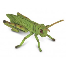 GRASSHOPPER