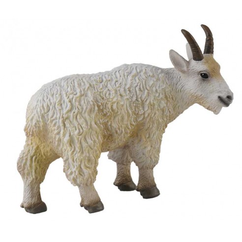 CABRA MONTES HEMBRA -M- 88377 COLLECTA