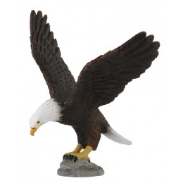 AMERICAN BALD EAGLE