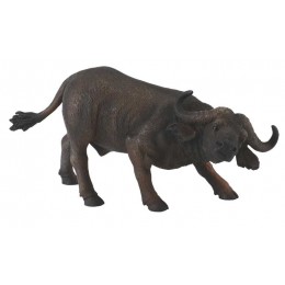 AFRICAN BUFFALO
