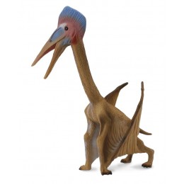 HATZEGOPTERYX