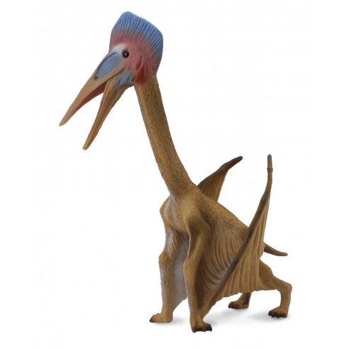 HATZEGOPTERYX