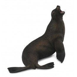SEA LION