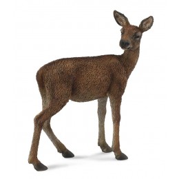 RED DEER HIND