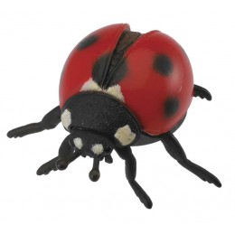 LADYBIRD