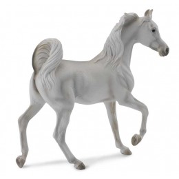 ARABIAN MARE GREY