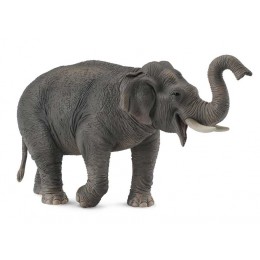 ASIAN ELEPHANT