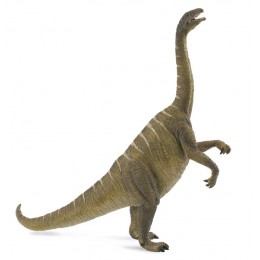 PLATEOSAURUS -L- 88513...