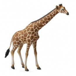 RETICULATED GIRAFFE