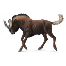 BLACK WILDEBEEST
