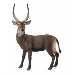 WATERBUCK