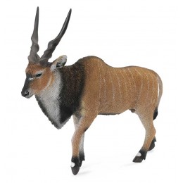 GIANT ELAND ANTELOPE