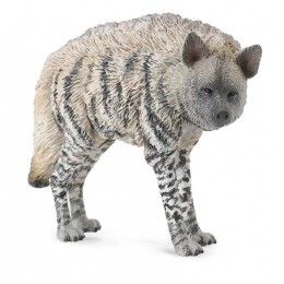 STRIPED HYENA