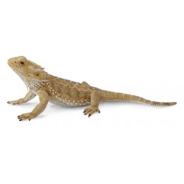 BEARDED DRAGON LIZARD