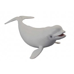 BELUGA WHALE